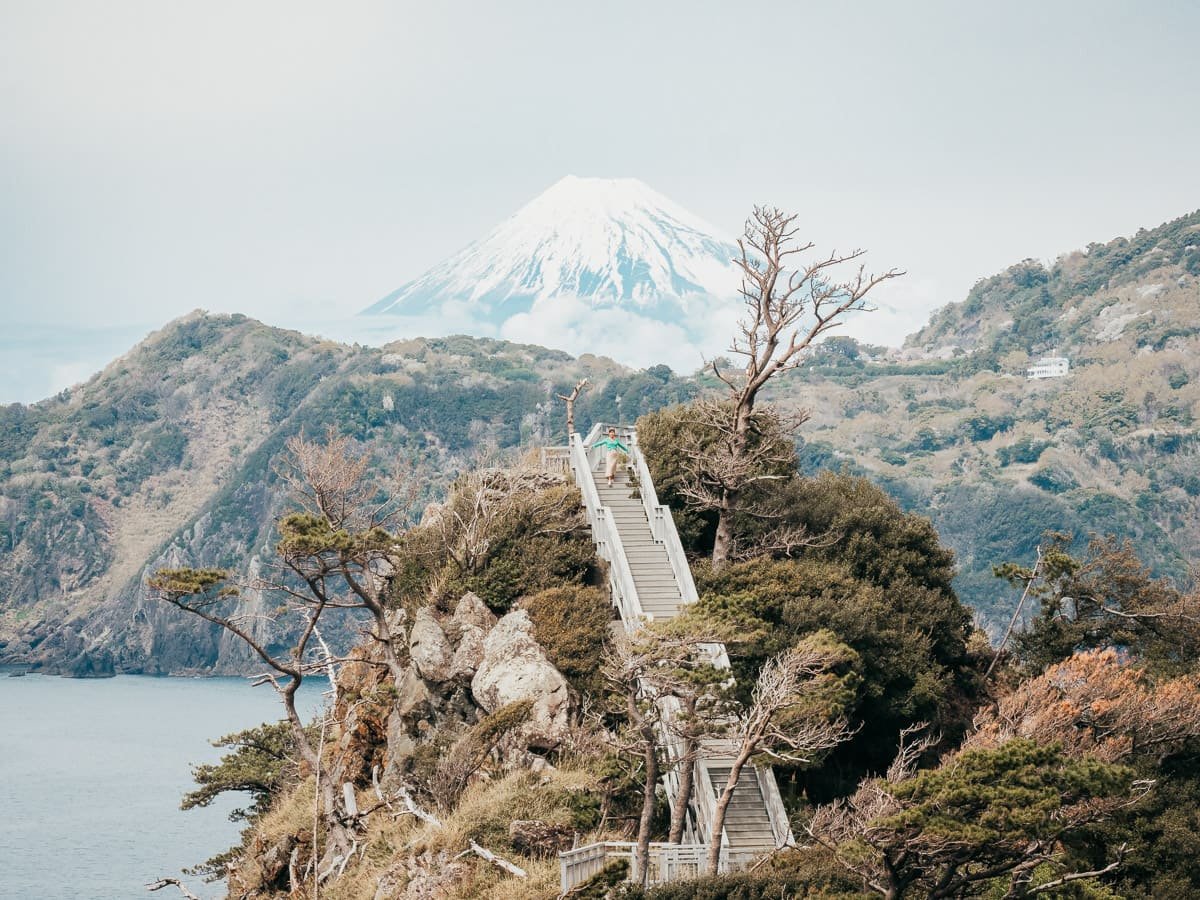 🏞️ 황금곶 공원(코가네자키 코엔) 이미지 8